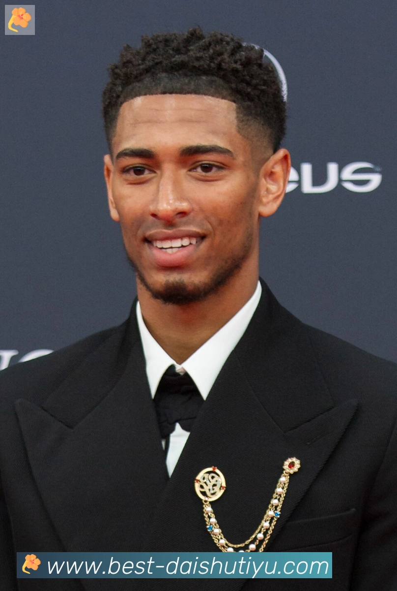 维尼修斯